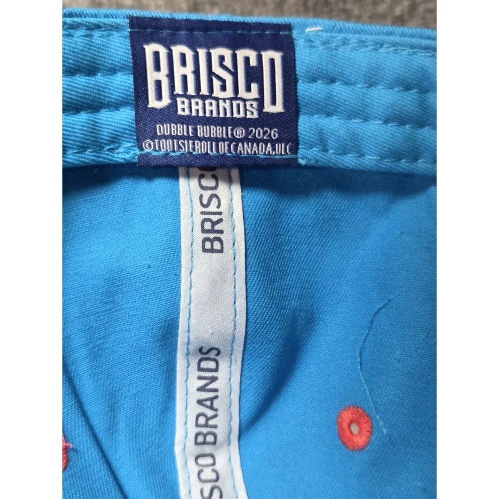 NEW Double Bubble Cap Adjustable White by Brisco